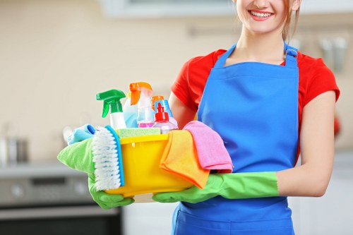 Deep carpet cleaning service for a Chiswick flat or house