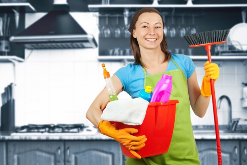Professional oven cleaning service for homes in Chiswick