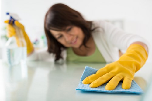 Oven cleaner working in a Chiswick home with careful access