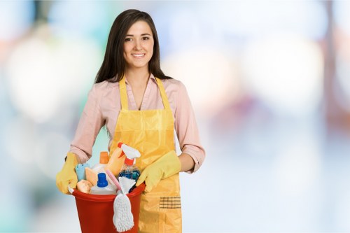 Carpet stain treatment and cleaning equipment in use