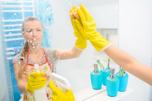 Professional cleaning service for homes and offices in Chiswick