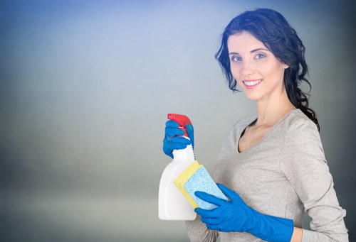 Domestic cleaning service for a family home in Chiswick